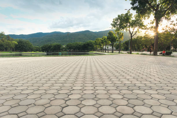 Best Permeable Paver Driveway  in Irving, TX