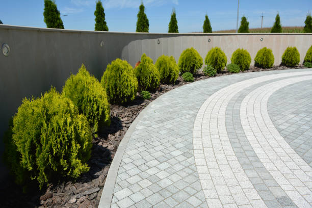 Reasons to Select Us for Your Driveway Paving Requirements in Irving, TX